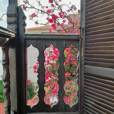 Papatzikos Traditional