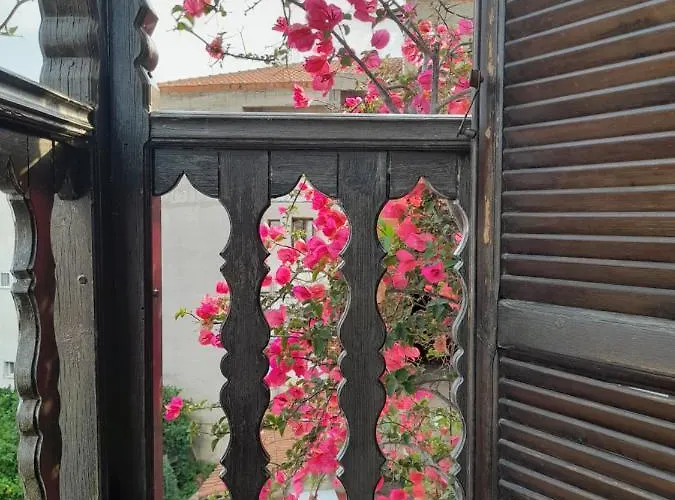 Papatzikos Traditional