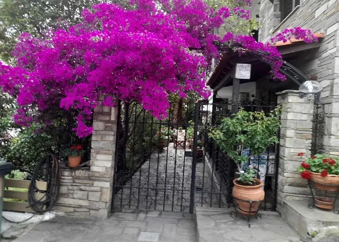 Papatzikos Traditional Aparthotel