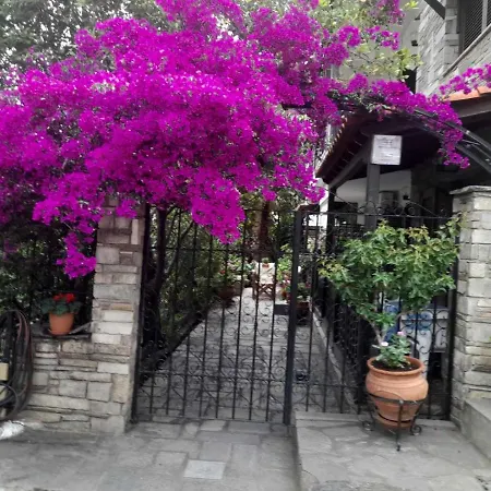 Papatzikos Traditional Aparthotel