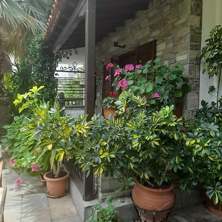 Papatzikos Traditional