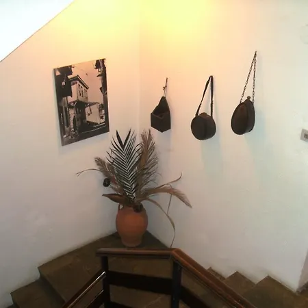 Papatzikos Traditional 아파트호텔