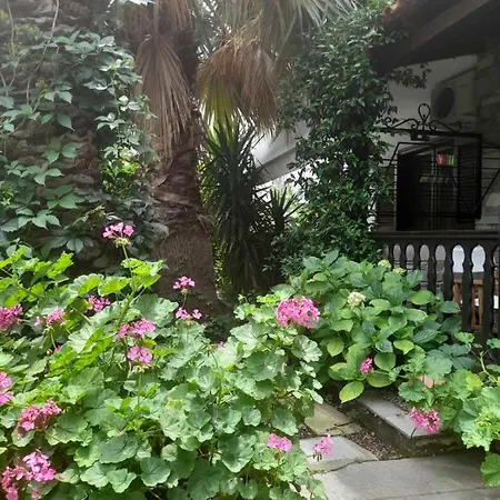 Papatzikos Traditional 3* Neos Marmaras