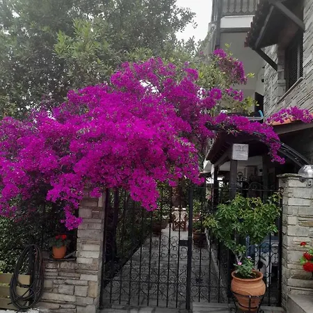 Papatzikos Traditional 3* Neos Marmaras