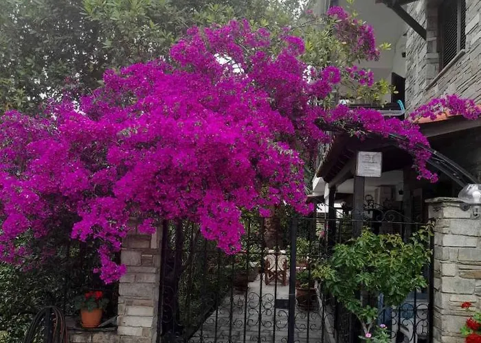Papatzikos Traditional 3* Νέος Μαρμαράς